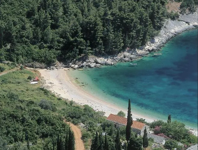 Sikluf-128-2 Apartamento *